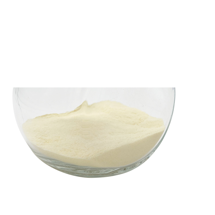 Transglutaminase TX06