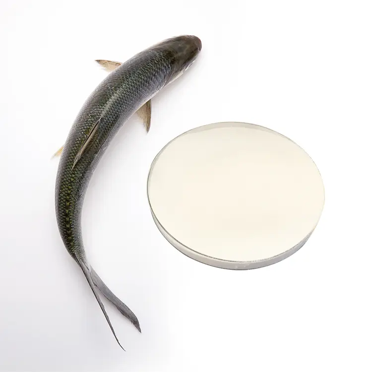 Fish Collagen Peptide