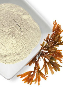 Sodium Alginate