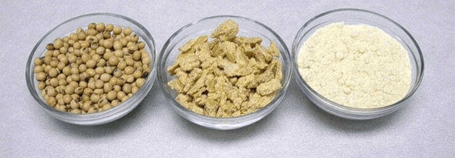 Textured Soy Protein (TSP)