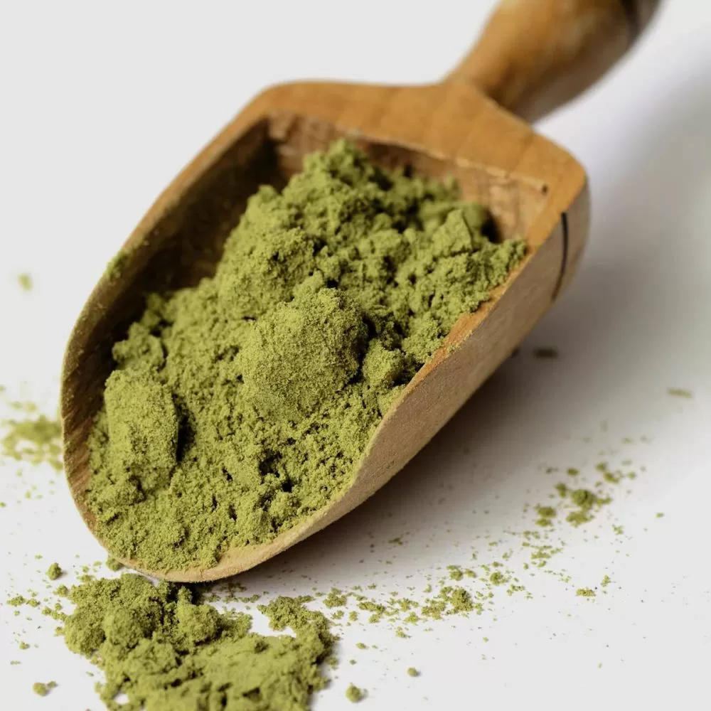 Hemp Protein